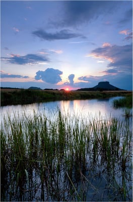 Sonnenuntergang am Hörnelteich bei Gohrisch. 