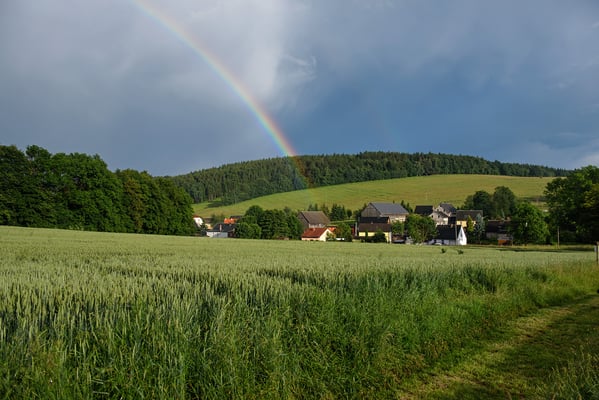 Die vielen Gewitter bescherten uns auf der Heimreise immerhin noch ein schönes Abendliches Highlight. Abziehende Gewitterzelle und Regenbogen bei Rugiswalde nahe Sebnitz, 18.06.16