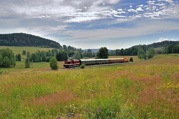 Am Nachmittag des 05.07.14 gab es wenigstens zaghafte, kurze Sonnenmomente. Der Sonderzug ist hier in der Grünen Wiese bei Horni Poustévna unterwegs nach Sluknov.