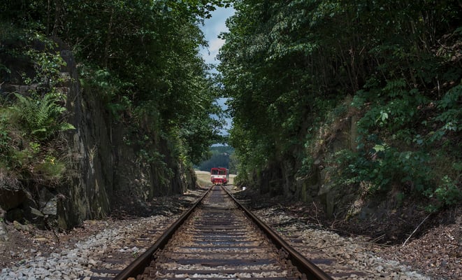 810 668-4 auf seinem Weg von Dolní Poustevna nach Rumburk bei Horní Poustevna. 22.06.2018
