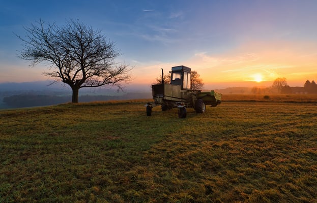 Ein farbenfroher Herbstmorgen bei Hohburkersdorf mit einem alten Schwadmäher des Neustädter Fortschrittwerkes. 