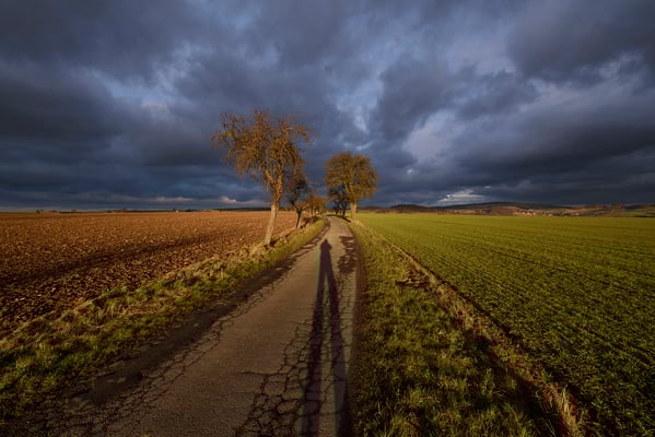 Licht - und Wolkendrama auf dem "Apfellehrpfad" zwischen Ehrenberg und Hohnstein. 
