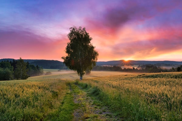 Traumhaft schöner Sonnenaufgang auf dem Panoramaweg bei Lichtenhain.