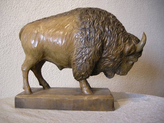 Bison von Paul Widmer