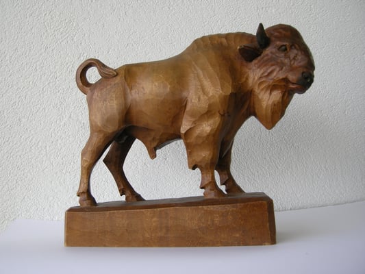 Bison