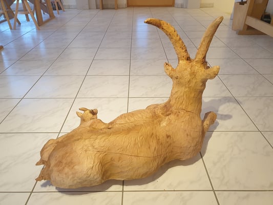 Steingeiss mit Steinkitz