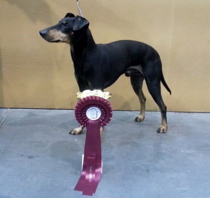 Veteran World Winner  (Mai 2013)