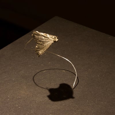 Die Schauspielerin – Der Schmetterling