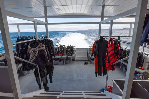Diving Platform of the boat Galaxy Diver II - Galapagos Shark Diving