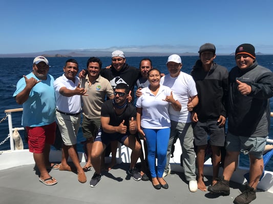 Galapagos Shark Diving - Gruppe von Tauchern 