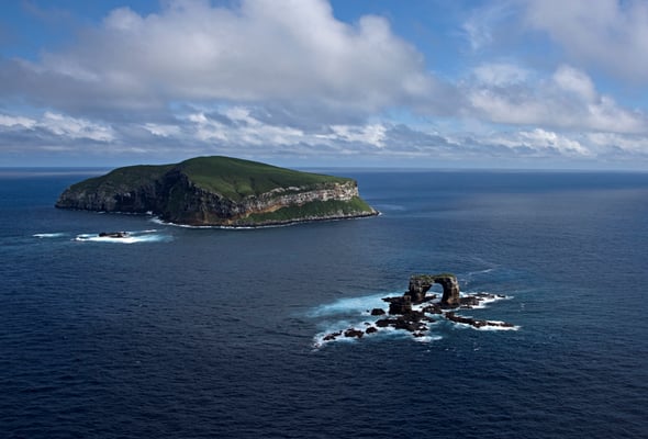 Galapagos Shark Diving - Darwins Arch