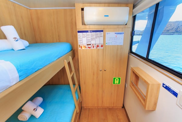 Twin bed room cabin of the vessel Galapagos Dive Liveaboard, Galapagos Shark Diving