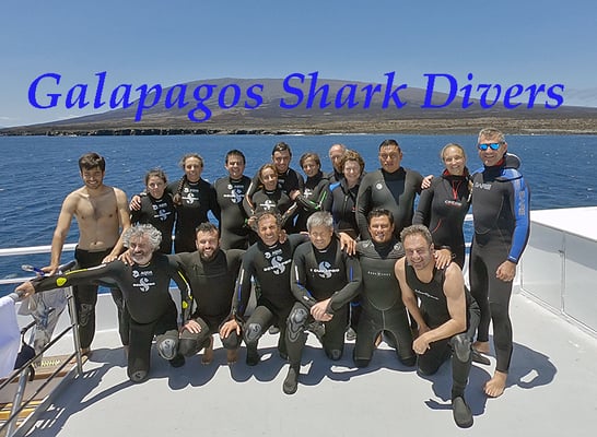 Galapagos Shark Diving - Gruppe von Tauchern 