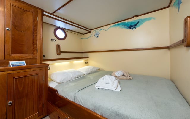 Cabinas con camas de matrimonio del barco 'Seahunter' en la Isla del Coco, ©Underseahunter Group