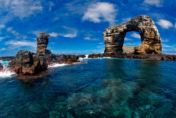 Galapagos Shark Diving - Darwins Arch Galapagos Islands