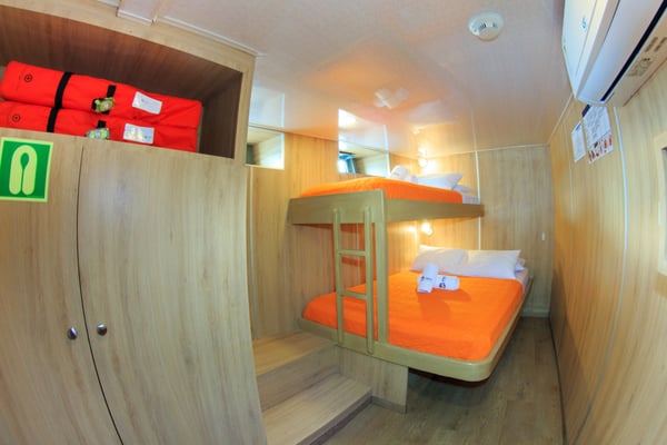 Lower deck bed room cabin of the vessel Galapagos Dive Liveaboard, Galapagos Shark Diving