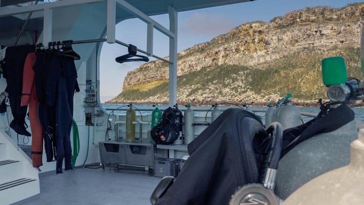 Diving Platform of the boat Galaxy Diver II - Galapagos Shark Diving