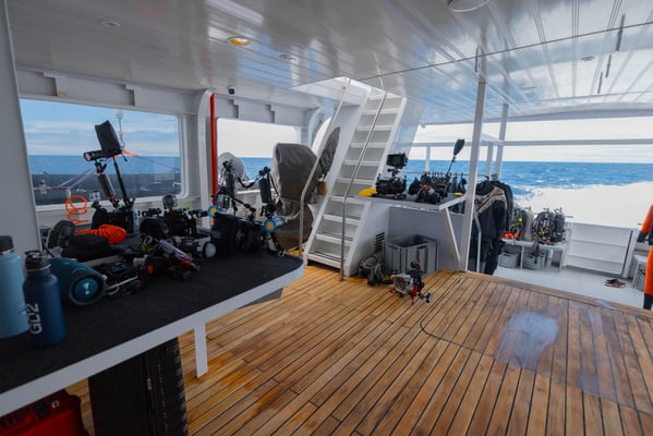 Diving Platform of the boat Galaxy Diver II - Galapagos Shark Diving