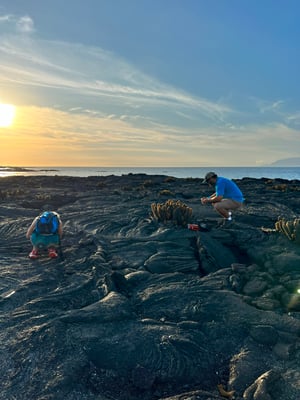 People take photos of the lava cacti on Punta Espinosa