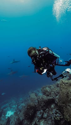 A diver counts sharks in the Galapagos islands to contribute to citizen science programs