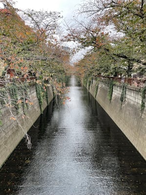 目黒川