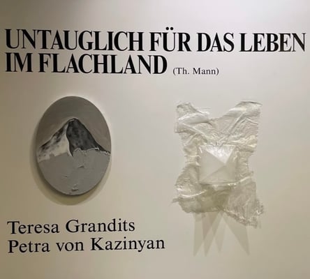 Petra von Kazinyan + Teresa Grandits, Salz Vision Gallery, Vienna