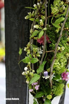 市場で見つけた束ねてある吉野桜の枝。 このすき間から小花達が顔を覗かせたらどんなに綺麗だろう。