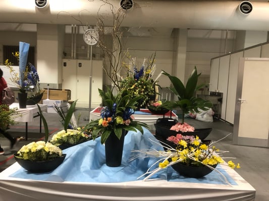 41 鳥取県 神原若  花はあんどう