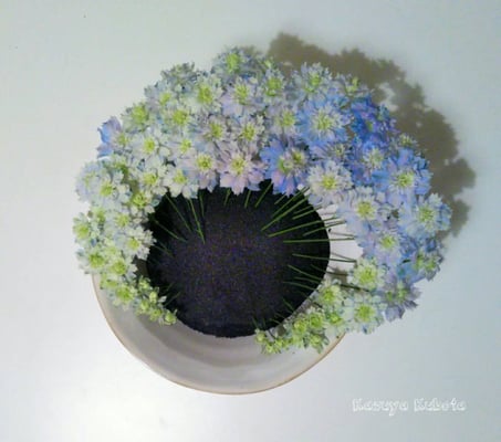 今年の夏透き通るような素敵なお花に出会った。 この1本のお花を大切に生けたい、そんな思いで生けた形は、いつしかフカヒレちゃん。