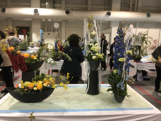 39 和歌山県 加太愛  ｆｌｏｗｅｒ　ｏｆｆｉｃｅ　Ｈｅｒｍａｎａ