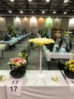 17 静岡県 井出洋  （有）花文