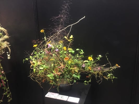 花束部門第1位 外務大臣賞　田邊和則