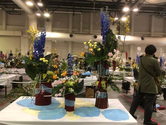 19 京都府 岩城遥香  （株）岩城生花店