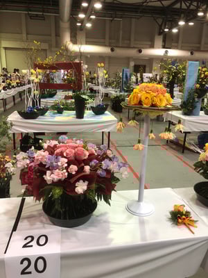 20 埼玉県 有薗直美  花Ｍｉｏｎａ