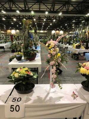 50 徳島県 坂野由起  （有）フラワーショップ慶