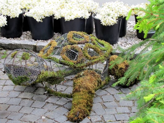 warten auf die Narzissen