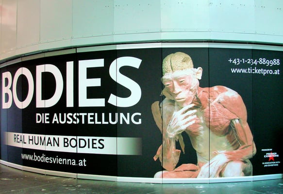 Veranstaltungen - auch gruselige Ausstellungen finden statt