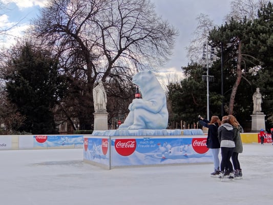 hier ist der Eisbär los