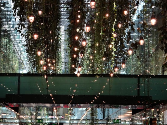 die hängenden Gärten in der Salvatorpassage