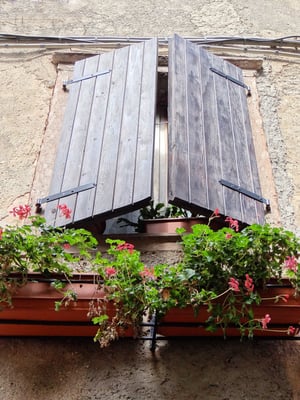 hier hat Herr Goethe gewohnt