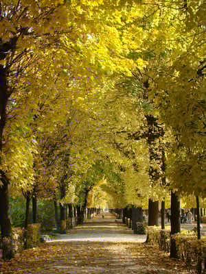 Herbst in Schönbrunn
