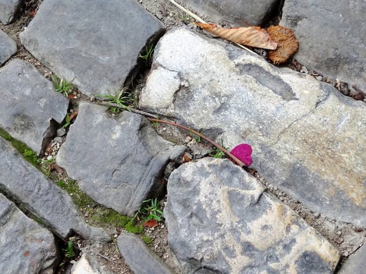 ich hab mein Herz in Motovun verloren