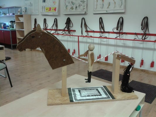 Modelo del ligamento supraspinale y el peso del jinete