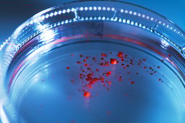 Produktfoto von kultivierten Adipozyten (Fettzellen), Fotograf Jürgen Müller Bargteheide, Hamburg, Lübeck & Metropolregion 