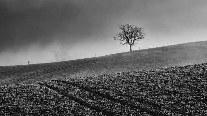 Dürrenäsch - Switzerland