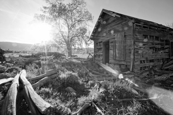 Old barn near Reno - USA