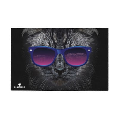 SWIPE-A123 bad kitty swipeout