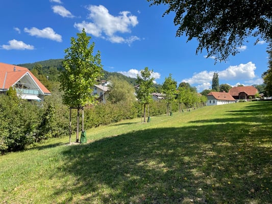 22. August 2022, Ansicht zur Schlossanlage