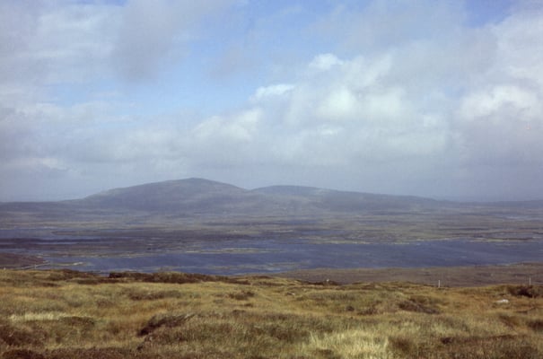 Blick über die Insel