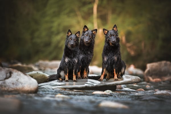 Esta Ayla und Deisy an der Emme